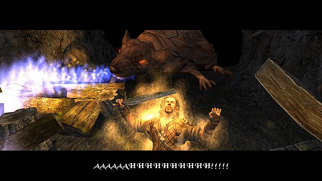 The Bard's Tale ARPG : Remastered and Resnarkled