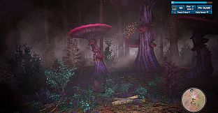 Morels: Out of this World