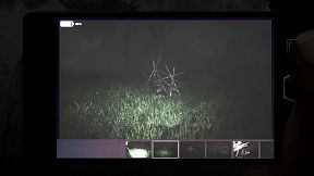 The Disappearance of Emily Crowe