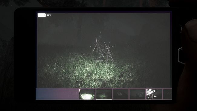 The Disappearance of Emily Crowe