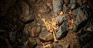 Realities - Terres d'Exploration