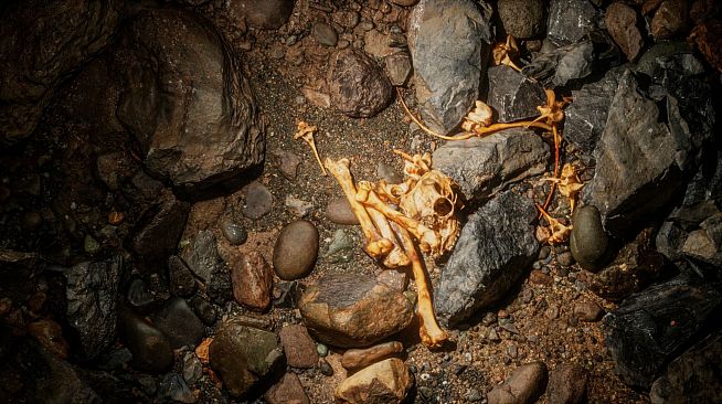 Realities - Terres d'Exploration