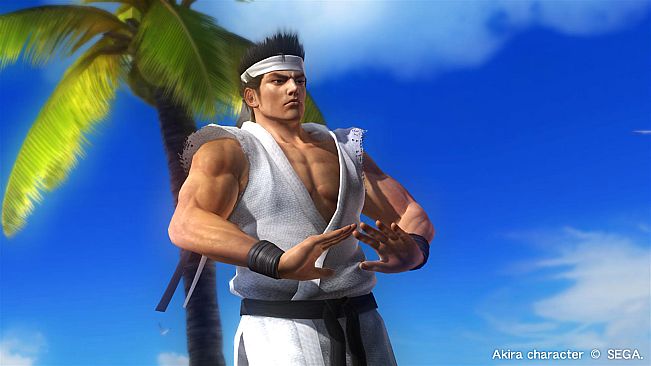 DEAD OR ALIVE 5 Last Round: Core Fighters Character: Akira