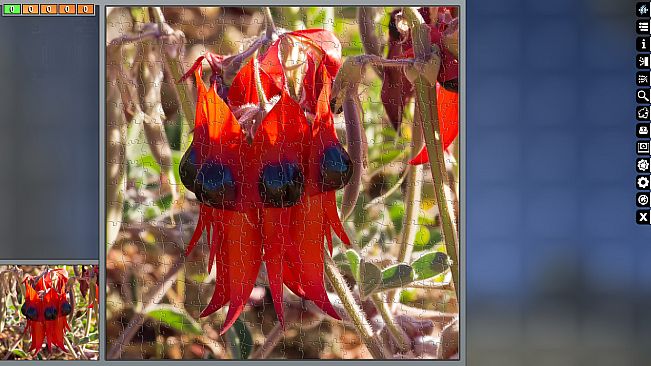 Jigsaw Puzzle Pack - Pixel Puzzles Ultimate: Australia