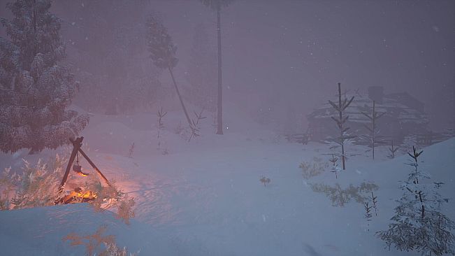 The Sling and The Stone