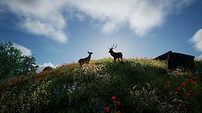 Tales From The Cache