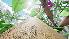 Nature And Life - Drunk On Nectar