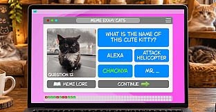 Meme Exam: Cats