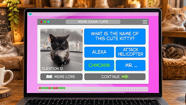 Meme Exam: Cats