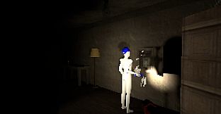 Handy Harry's Haunted House Services