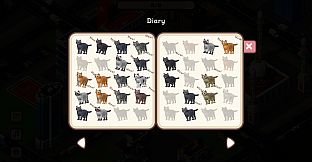 Where Are My Cats?