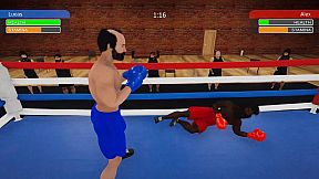 Boxing Simulator