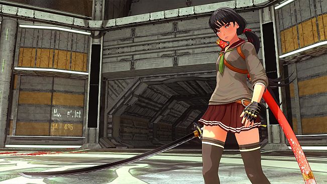 OneeChanbara ORIGIN - Exclusive Saki Costume: Saki's Uniform Classic Brown