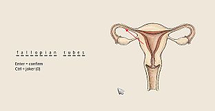 Vagina Sancta