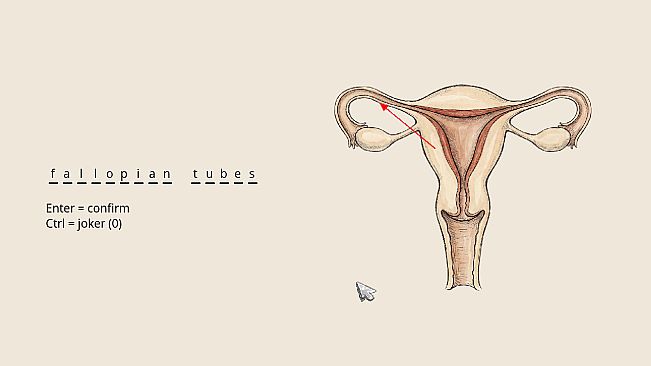 Vagina Sancta