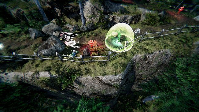 Vision Quest: A New Ascent
