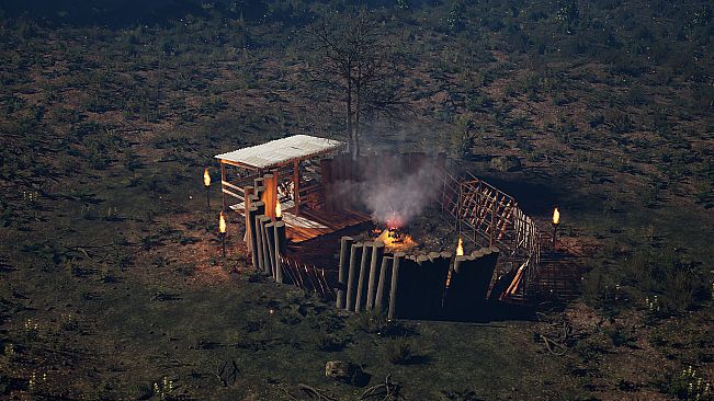 88 NIGHTS IN THE FOREST