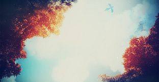 Chaordic - Nature Wallpaper pack