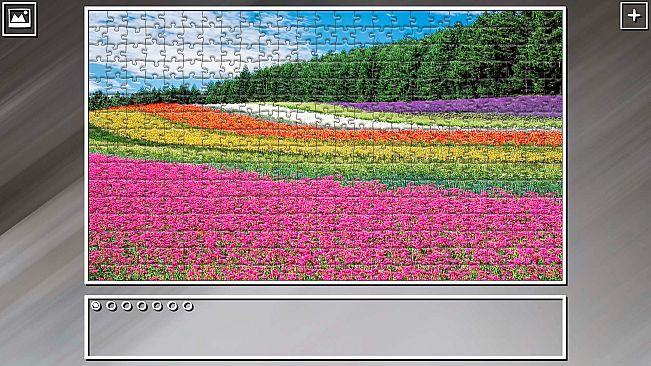 Super Jigsaw Puzzle: Generations - Flowers 2