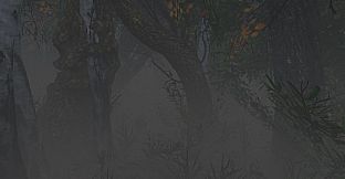 maze to the old castle