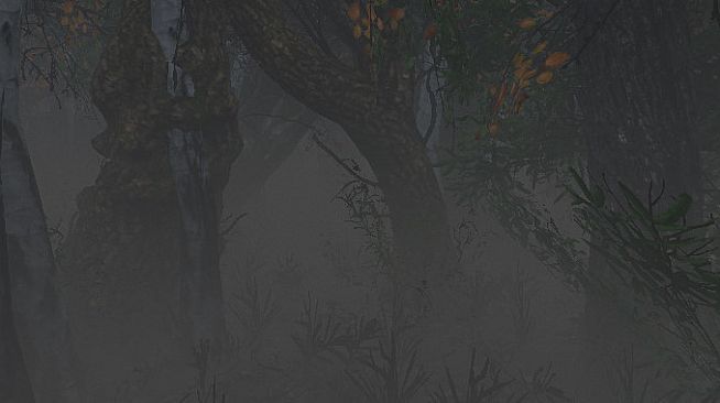 maze to the old castle