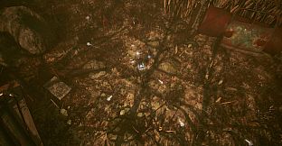 Shades of Rayna - Outlaw Class