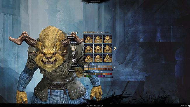Guild Wars 2 Starter Pack