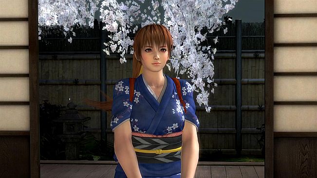 DEAD OR ALIVE 5 Last Round: Core Fighters Story Mode