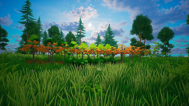 My Money Grows On Trees