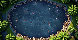 Koi Frenzy