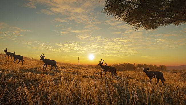 theHunter: Call of the Wild - Vurhonga Savanna