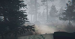 Midnight Files - Missing in Forest Lake