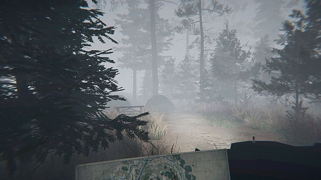 Midnight Files - Missing in Forest Lake