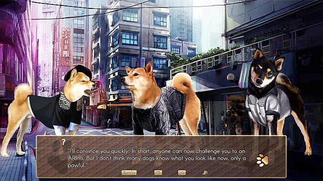 A Summer with the Shiba Inu