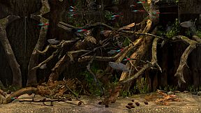 Behind Glass: Aquarium Simulator