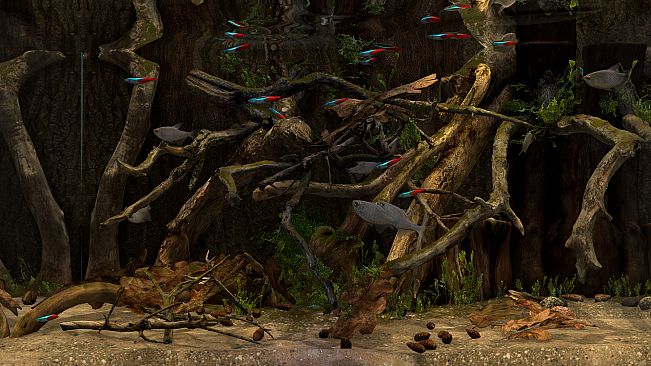 Behind Glass: Aquarium Simulator