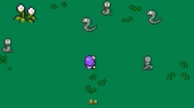 Slime & Friends