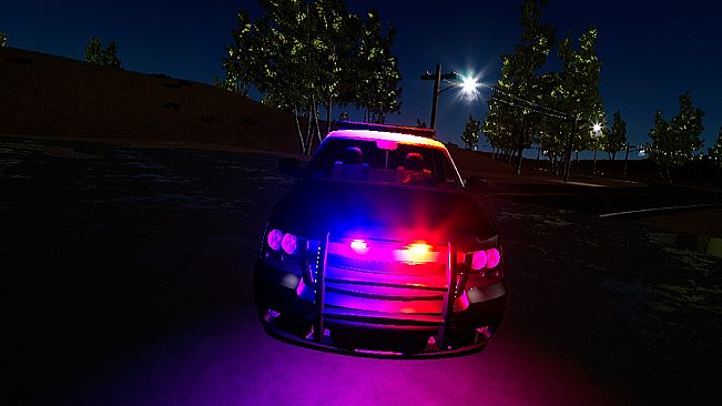 Police Enforcement VR : 1-King-27