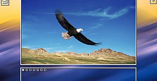 Super Jigsaw Puzzle: Generations - Birds Puzzles