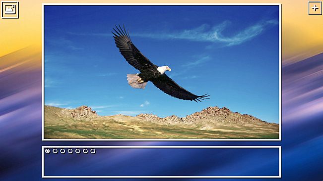 Super Jigsaw Puzzle: Generations - Birds Puzzles