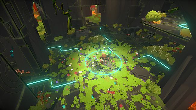 Unpetrified: Echoes of Nature