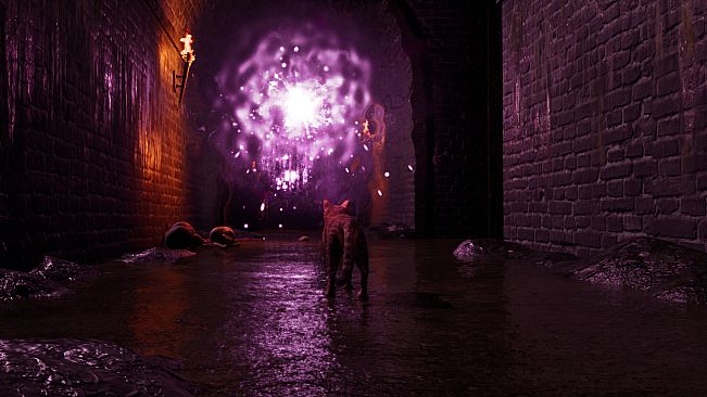 Meowmories -meowmare adventure-