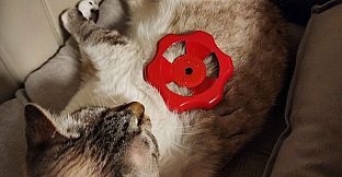 The Red Valve