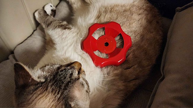 The Red Valve