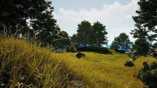 Wildwood: Hearth & Horizon