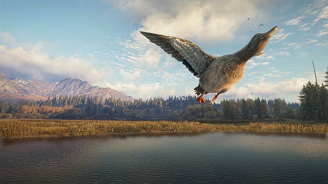 theHunter: Call of the Wild - New Species 2018