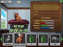 Best in Show Solitaire