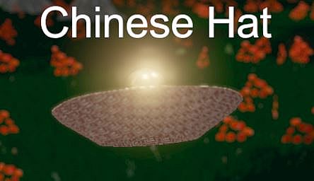 Hide and Seek - Chinese Hat