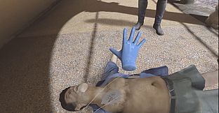 VR-CPR Personal Edition