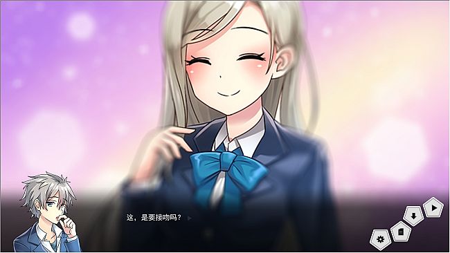 夏荷 | Summer Lotus